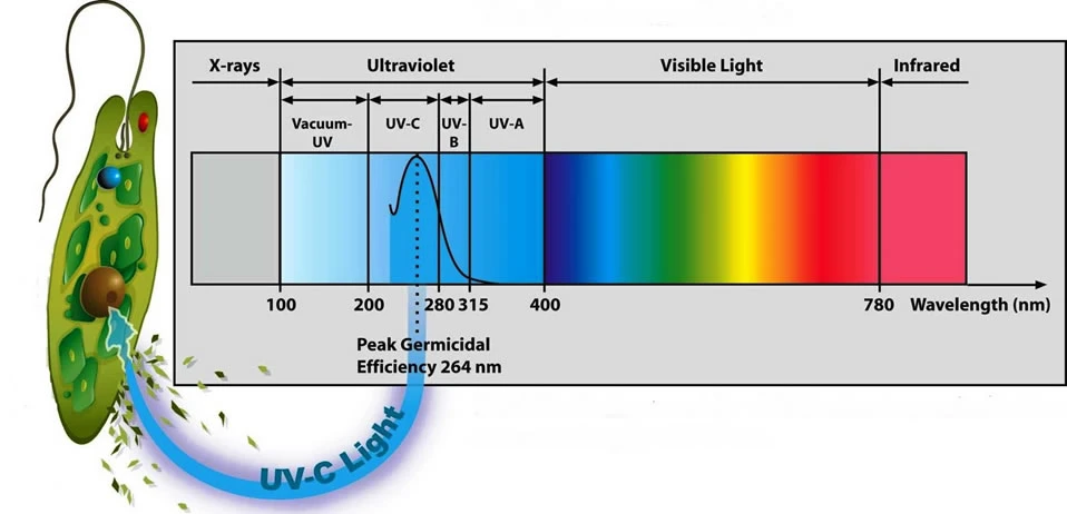 O que é UV-C?